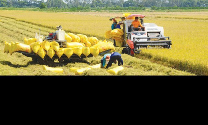 Minh bạch Trách nhiệm và Bền vững trong quan hệ hợp tác sản xuất và thương mại hướng tới xây dựng hệ thống lương thực thực phẩm ở Việt Nam